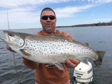 Lake Onatrio brown trout fishing