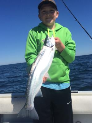 Lake Ontario charter boat steelhead  fishing near the Salmon River , NY