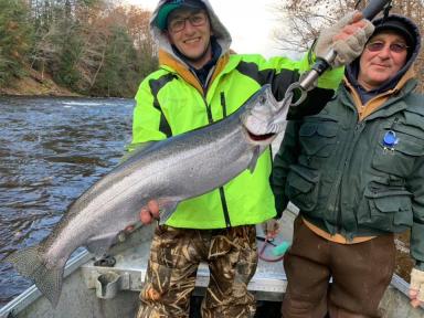 big steelhead salmon river ny