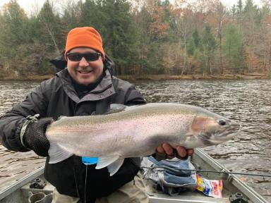 big beautiful steelhead