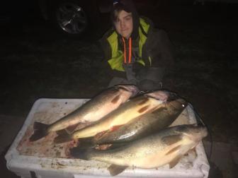 Big Oswego Walleye NY