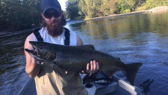 Another salmon caught on a plug on the salmon river